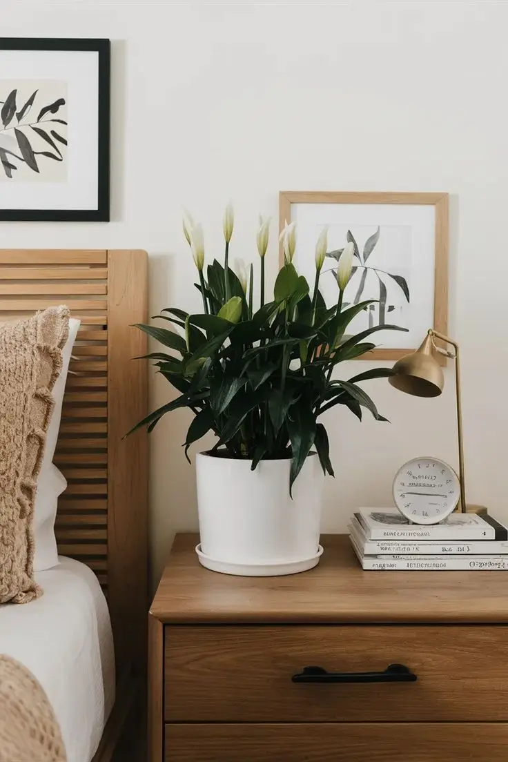 A low-cost succulent adds a natural touch to this minimalist bedroom